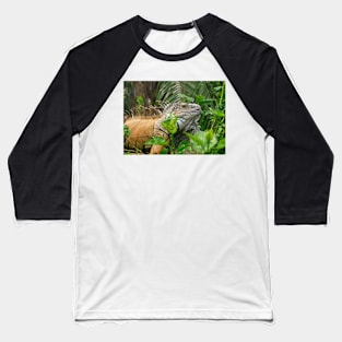 Iguana Baseball T-Shirt